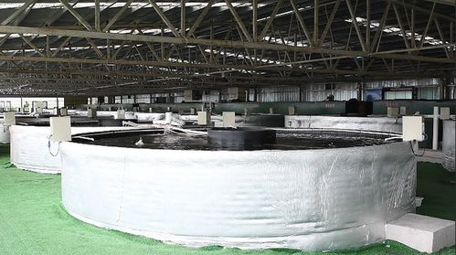 余慶縣智慧漁業(yè) 科技賦能水產(chǎn)養(yǎng)殖，引領(lǐng)飼料銷售新變革